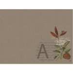 Duni Papier Tischsets Autumn Blossom, 30 x 40 cm Duni Papier Tischsets Autumn Blossom, 30 x 40 cm
