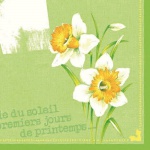 Duni Klassik Servietten Spring Day, 40 x 40 cm Duni Klassik Servietten Spring Day, 40 x 40 cm