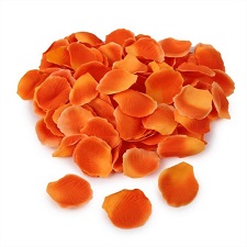 Rosenbl�tter in Orange