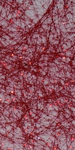 Sizoflor Glitter Rot