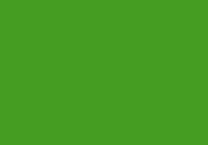 Stempelkissen in der Farbe Grün