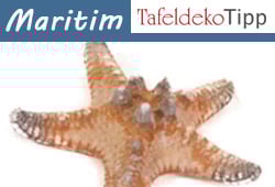 Mottodeko