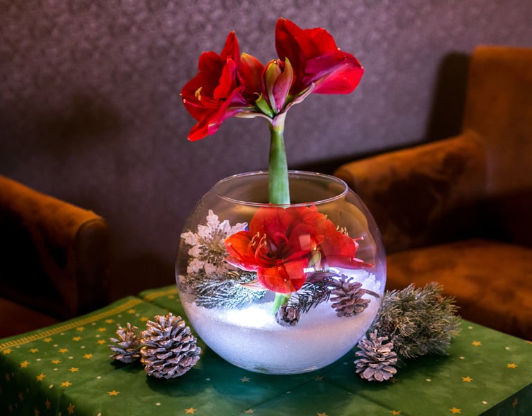 Adventsdeko, Lichterdeko Amaryllis im Schnee. Glaskugel mit Instant Schnee und Unterwasserteelichtern.