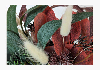 Eukalyptus im Herbst