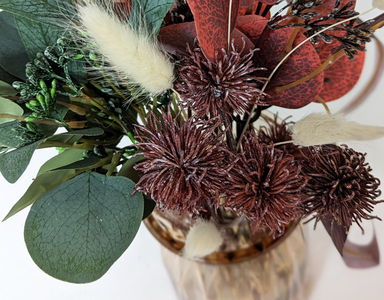 Eukalyptus im Herbst