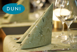 Festlich gedeckter Tisch mit gefalteter Serviette aus der Weihnachtsserie Duni Noël Pistachio, Gläsern und Tischdeko. Festlich gedeckter Tisch mit gefalteter Serviette aus der Weihnachtsserie Duni Noël Pistachio, Gläsern und Tischdeko.