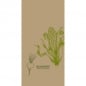 Duni ecoecho® Zelltuch Servietten Veggies, 2-lagig,  ⅛ Buchfalz, 40 cm