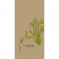 Duni ecoecho® Zelltuch Servietten Veggies, 2-lagig,  ⅛ Buchfalz, 40 cm