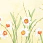 Duni Zelltuch Servietten Daffodil Joy, 40 x 40 cm