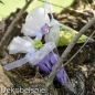 Dekobeispiel Bonbonieren Tüten, Schultüten, transparent.