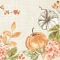 Duni Bio Dunisoft Servietten Spicy Pumpkin, 40 x 40 cm.