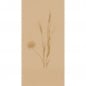 Duni Zelltuch Servietten Meadow Natural, 2-lagig, ⅛ Buchfalz, 40 cm.
