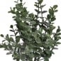 Kunstblume Eukalyptus Bündel, 25 cm, Nahaufnahme.