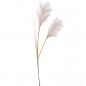 Deko Kunst Pampasgras Wedel in Creme, 69 cm.