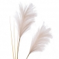 Deko Kunst Pampasgras Wedel in Creme, 69 cm.