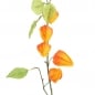 Kunstblume, Deko Zweig Physalis, Lampionblume in Orange, 90 cm.