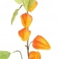 Kunstblume, Deko Zweig Physalis, Lampionblume in Orange, 90 cm.
