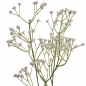 Kunstblume Schleierkraut in Weiß, 63 cm.