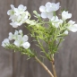 Kunstblume Blütenzweig in Weiß, 25 cm