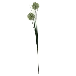 Kunstblume Allium in Weiß mit 2 Blüten, 76 cm