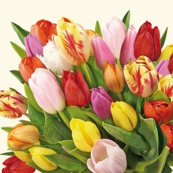 20er Pack Servietten Tulpenstrauß, 33 x 33 cm