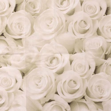 10er Pack Taschentücher Hochzeit mit Rosenmotiv 10er Pack Taschentücher Hochzeit mit Rosenmotiv
