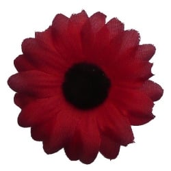 24 Streu Margeriten Köpfe in 7 Farben