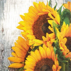 20er Pack Servietten Sonnenblumen, 33 x 33 cm