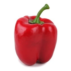 Deko Gemüse Paprika in Rot,  12 cm