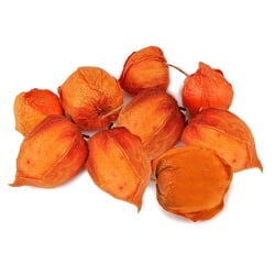 12 Physalis Lampionblumen Herbst, 50 mm