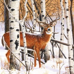 20er Pack Servietten Hirsch im Winterwald, 33 x 33 cm