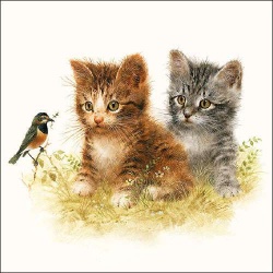 20er Pack Servietten Katzen Kinder, 33 x 33 cm