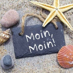 20er Pack Servietten Maritim -Moin, Moin!-, 33 x 33 cm