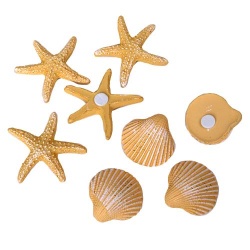 8 Streuteile Maritim, Muschel, Seestern, mit Klebepunkt, 30 - 40 mm