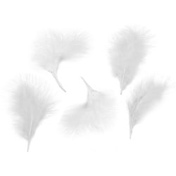 10 Deko Marabu Federn in Weiß