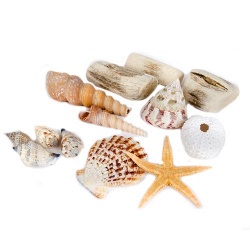 Reisegutschein Accessoires Set