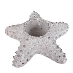 Beton Teelichthalter Seestern in Grau, 14 cm