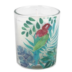 Kleines Kerzenglas, Duftkerze Tropical Island, 65 mm