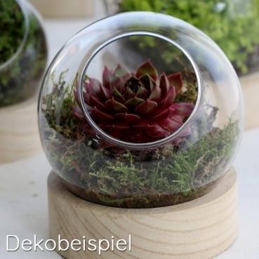 Windlichtglas, Kugelvase auf Holzsockel, 14 cm Windlichtglas, Kugelvase auf Holzsockel, 14 cm