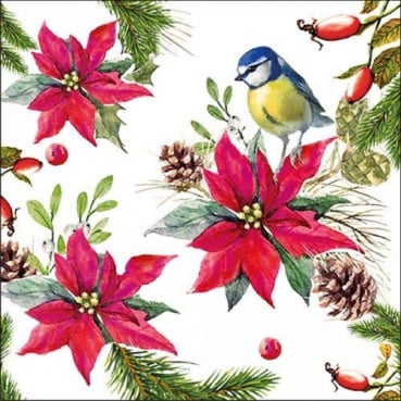 20er Pack Servietten Weihnachtsstern, Wintervogel, 33 x 33 cm