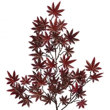 Kunstblume Ahornblätterzweig in Bordeaux/Gold, 66 cm Kunstblume Ahornblätterzweig in Bordeaux/Gold, 66 cm.