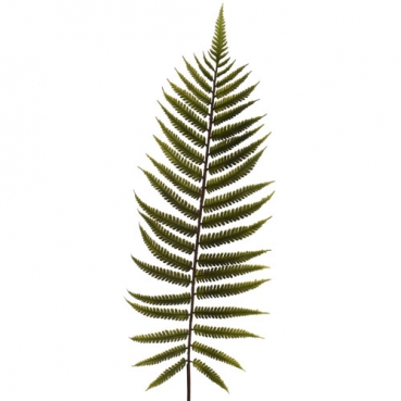 Kunstblume Farn, Dekoblatt, 71 cm
