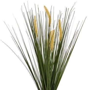 Deko Fuchsschwanzgras Wedel in Grün/Gelb, 60 cm Deko Fuchsschwanzgras Wedel in Grün/Gelb, 60 cm.