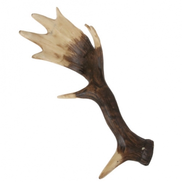 Deko Hirschgeweih rechte Seite in Braun, 27 cm