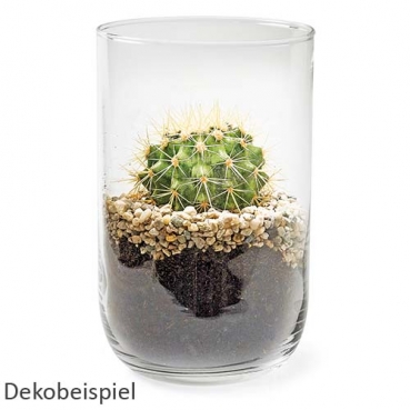 Dekobeispiel Glas Windlicht, Vase Zylinder, klar, 21 cm.