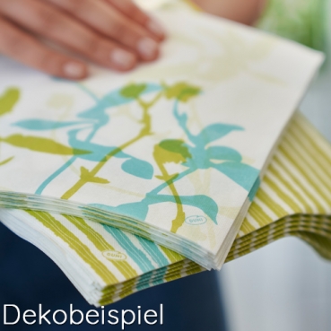 Duni Dunicel Tischsets Elise, 30 x 40 cm Duni Serie Elise und Elise Stripes. Frische Farben in Kiwigrün und Mintblau.