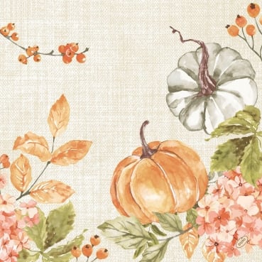Duni Bio Dunisoft Servietten Spicy Pumpkin, 40 x 40 cm