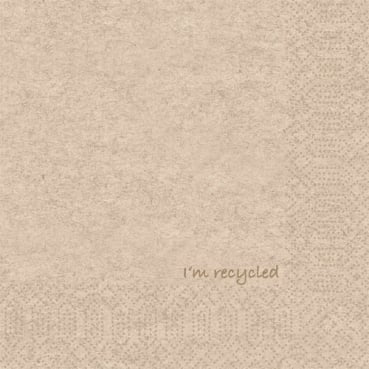 Duni ecoecho® Zelltuch Servietten I'm recycled, 2-lagig, 33 cm, Großpack