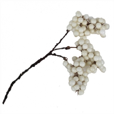 Deko Beerendolden Pick in Weiß, 20 cm