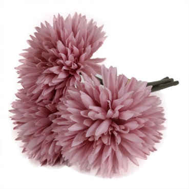 3er Bund Dahlien in Altrosa, 20 cm